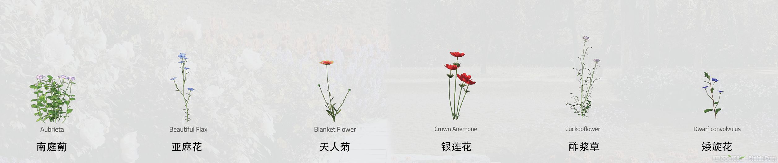 Flower_plant-03.jpg