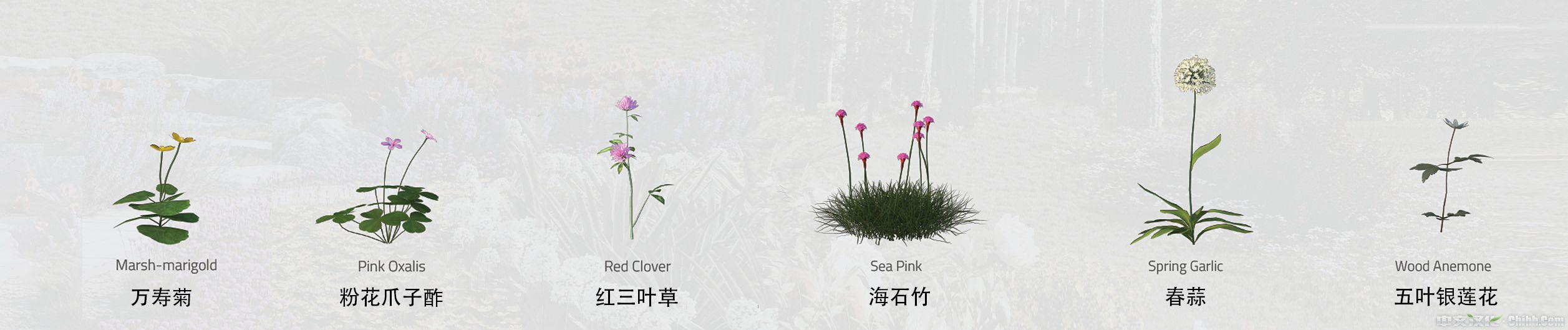 Flower_plant-04.jpg